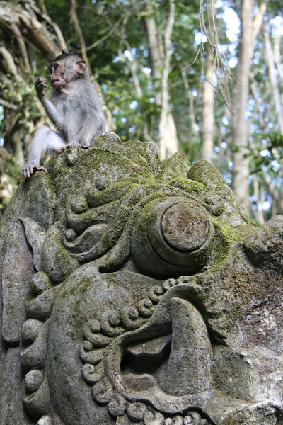 猴子森林幽布巴厘岛