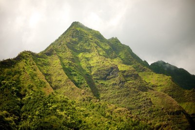 景观