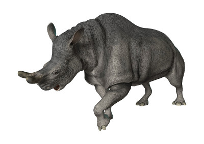 3D渲染Brontotherium在白色