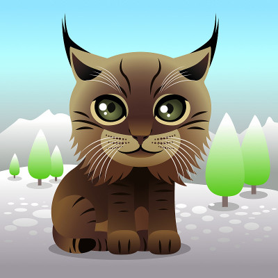 小动物收藏:猞猁
