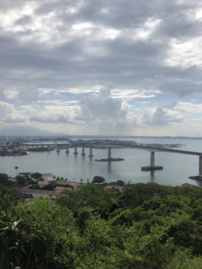 自然与城市由桥连接