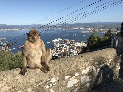 在英国西班牙南部靠近非洲的直布罗陀的猴子在一艘游船上日出