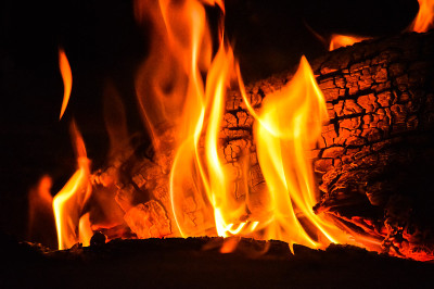 杏仁树林旁的营地着火了