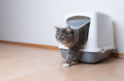 猫砂盒
