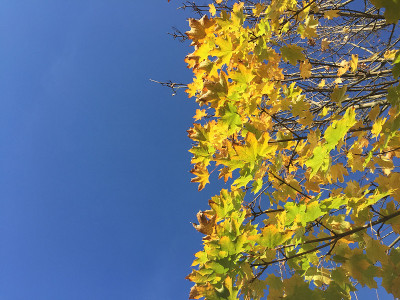 秋天