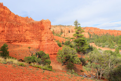 红色峡谷全景，犹他州，美国