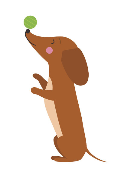 可爱的腊肠犬插图