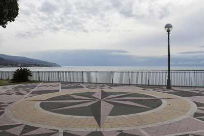海景与玫瑰的风