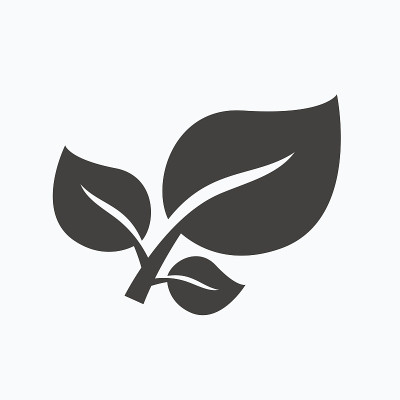 叶图标。新鲜有机产品标志。
