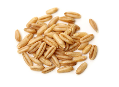 燕麦粒