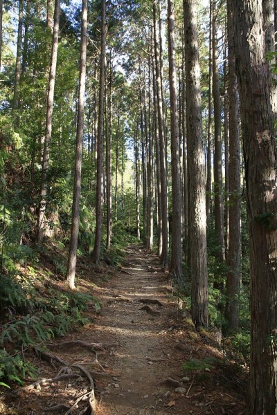 日本和歌山熊野和堂朝圣路线