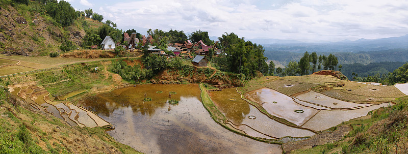 Limbong村