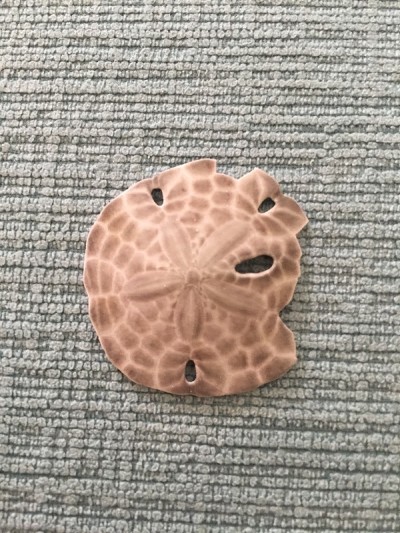 海胆