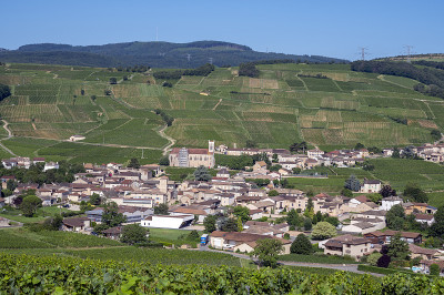 风景如画的Fuissé村位于勃艮第葡萄园的Saône-et-Loire处