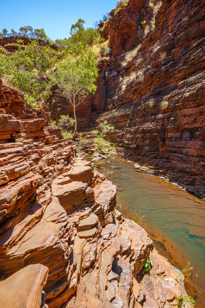 在karijini国家公园的Hancock峡谷徒步旅行，澳大利亚西部