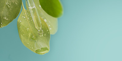 草药精油提取物