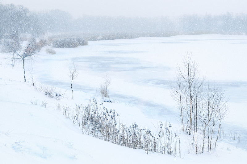 《Lakeland》(降雪II)