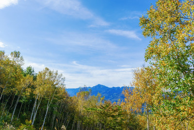 从藤井高地观看