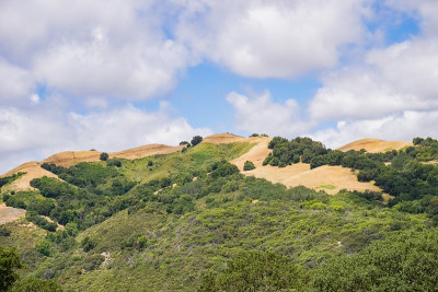 加州圣何塞，旧金山海湾地区南部，加拿大牧场德尔奥罗开放空间保护区的丘陵