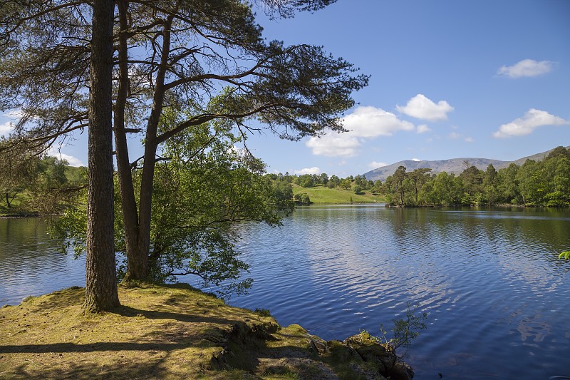 Tarn how，湖区，坎布里亚，英格兰