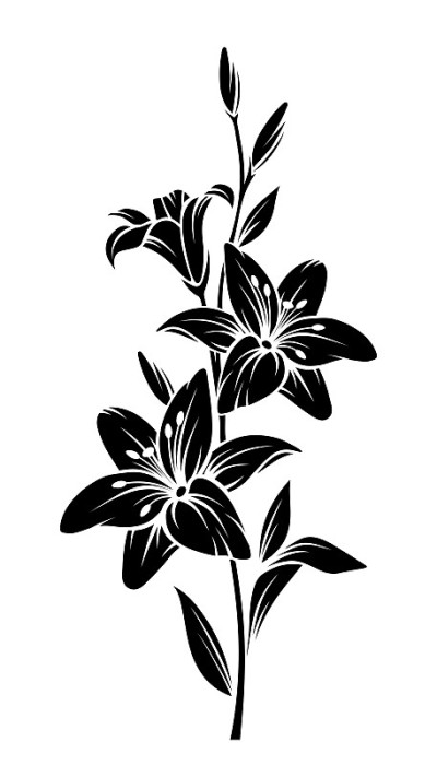 Lily flowers. Vector black silhouette.