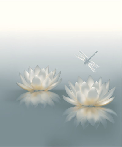 睡莲的背景