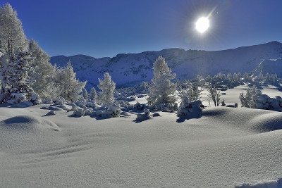 rime