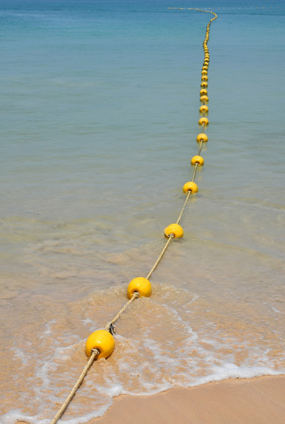 海滩和水中的黄色浮标