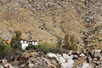 定康修道院-色拉寺。拉萨prefecture-Tibet。1270