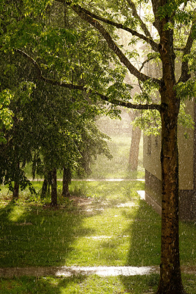 神秘的阳光在雨中闪耀
