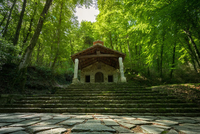 隐居在森林中央