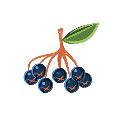 Chokeberry平面向量贴纸