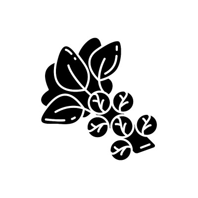 球芽甘蓝黑色字形图标