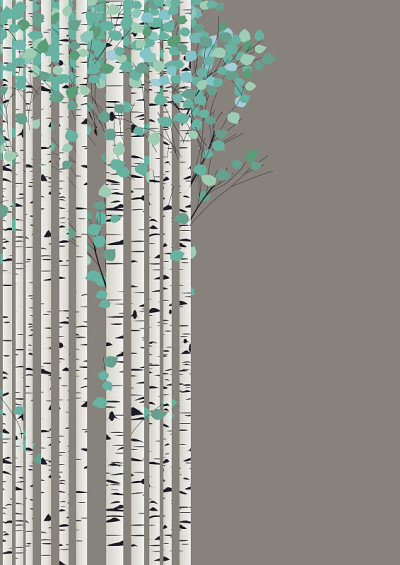 Birchwood森林卡