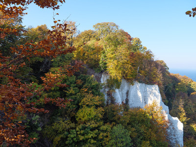 鲁根岛
