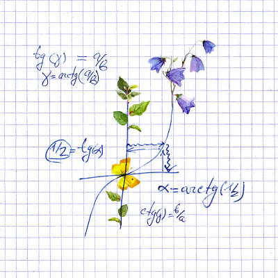 数学设计——数学公式，花朵。手写科学概念