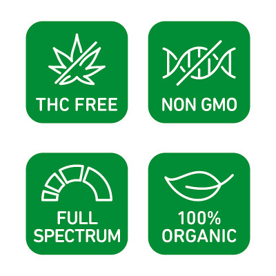 CBD油图标集包括THC免费，100%有机，非转基因，全光谱