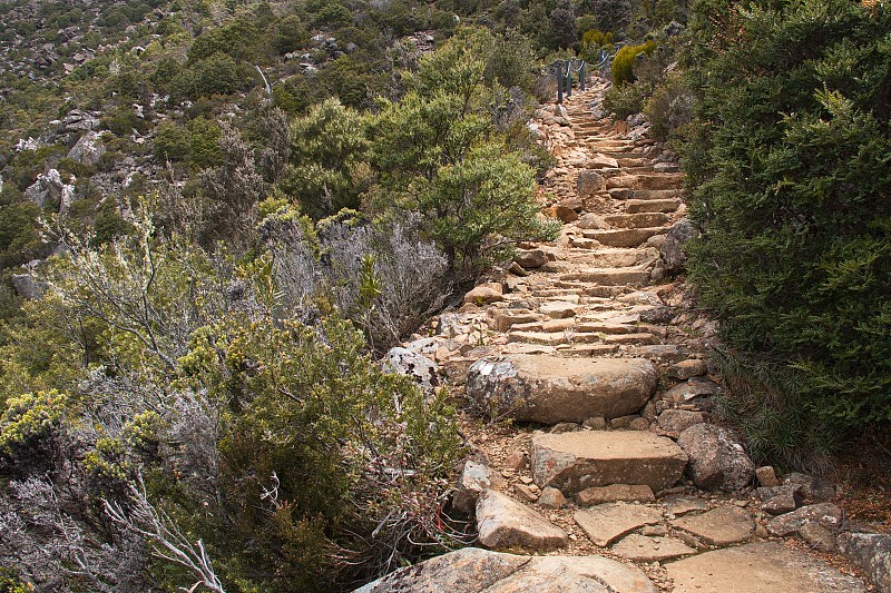 塔斯马尼亚的惠灵顿山徒步旅行路线