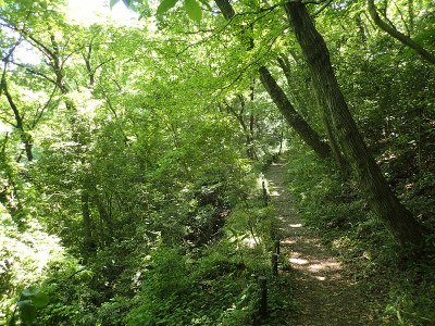 Noyamakita-Rokudoyama公园- Musashimurayama,东京