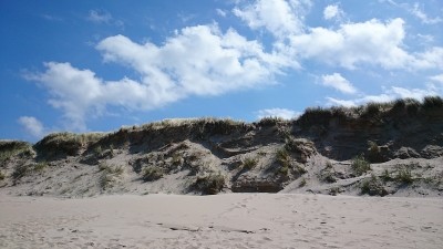 沙丘上Sylt