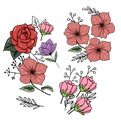 Botany. Set. Vintage flowers. Black and white illu