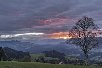 奥地利，Vorarlberg, Bregenz森林的山地景观