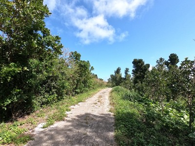 Irabu-jima岛的农场道路