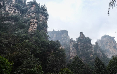 张家界国家森林公园全景