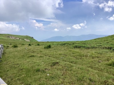 海拔2000米的宇津原高原夏季风光