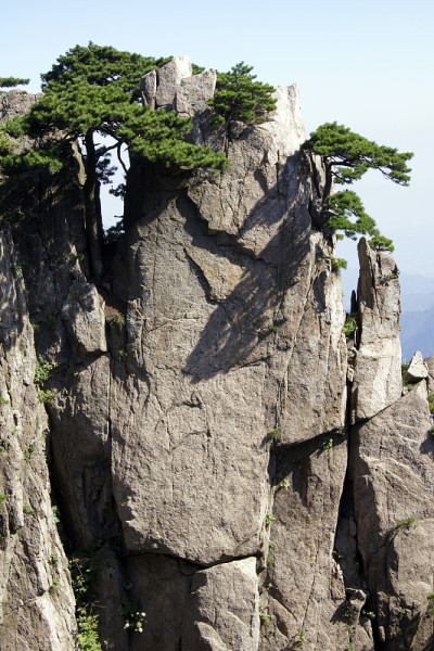 中国安徽，黄山，黄山和松树的岩石