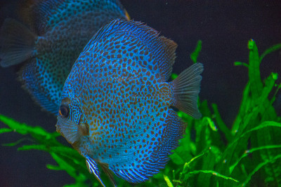 水族馆