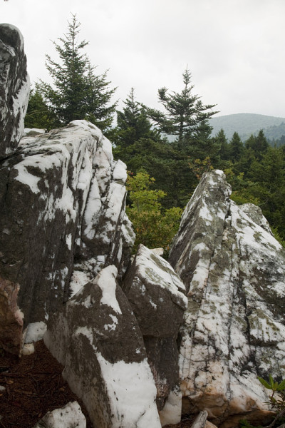 北卡罗来纳毗斯迦(Pisgah NF)闪光岩荒野区