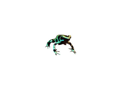 树突飞镖蛙透明背景好