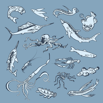 Fish2col